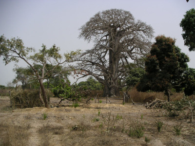 MINOLTA DIGITAL CAMERA