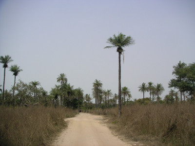 MINOLTA DIGITAL CAMERA