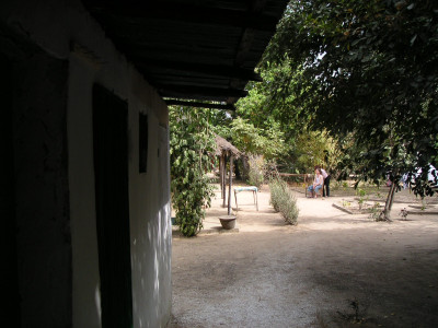 MINOLTA DIGITAL CAMERA