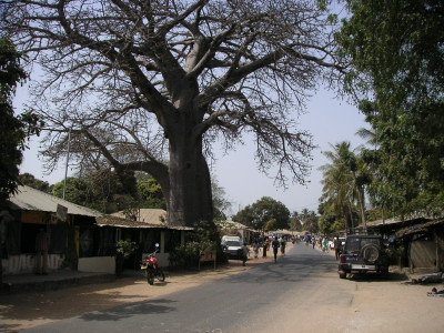 MINOLTA DIGITAL CAMERA