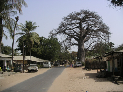 MINOLTA DIGITAL CAMERA