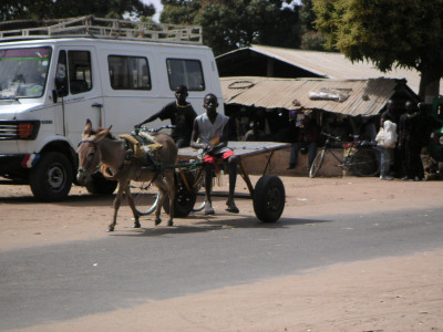 MINOLTA DIGITAL CAMERA