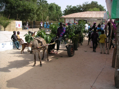 MINOLTA DIGITAL CAMERA