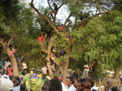 MINOLTA DIGITAL CAMERA