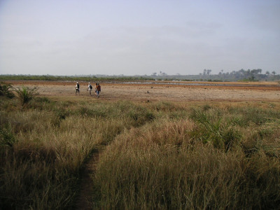 MINOLTA DIGITAL CAMERA