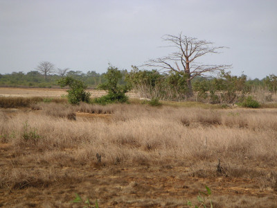 MINOLTA DIGITAL CAMERA