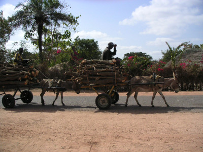 MINOLTA DIGITAL CAMERA