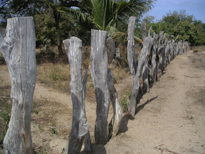 MINOLTA DIGITAL CAMERA