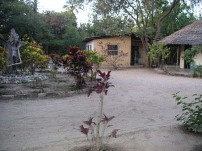 MINOLTA DIGITAL CAMERA